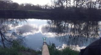 Discover feeder fishing in Indre