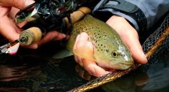 Trout fishing with baitcasting fishing techniques