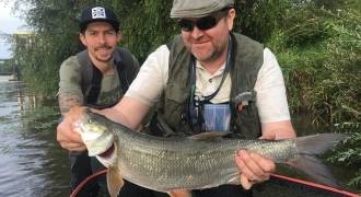 Asp fishing in France