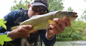 Trout fishing with lures in Haute-Marne