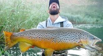 Trout fishing in Northern Spain