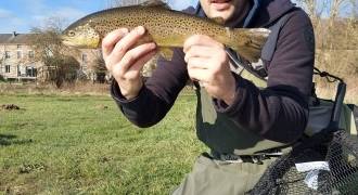 Pêche aux leurres en rivière en Belgique