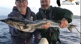 Pêche du barracuda en Méditerranée