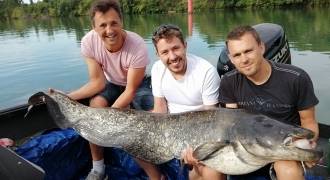Fishing day for pike, zander, perch and catfish in the Rhone