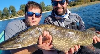 Lure fishing in Jura and Doubs