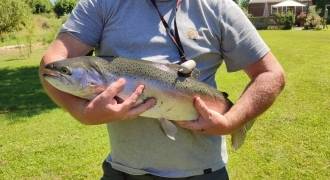 Trout fishing in the Limousin