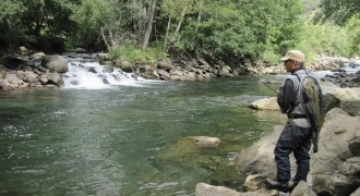Improve your fly fishing skills with a fishing guide in Pyrenees