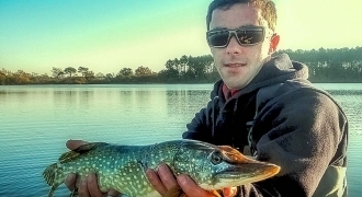 Pike fishing with fly in Landes