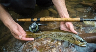 Trout fishing with baits in Pays-Basque