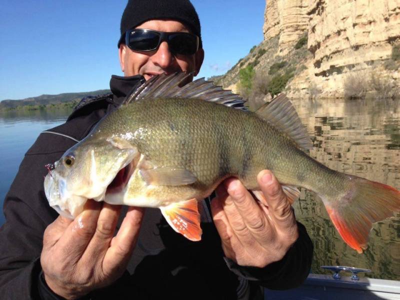 Fishing trip on Caspe and Mequinenza lakes