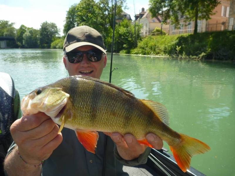 Predator fishing in private fishing spots in Marne