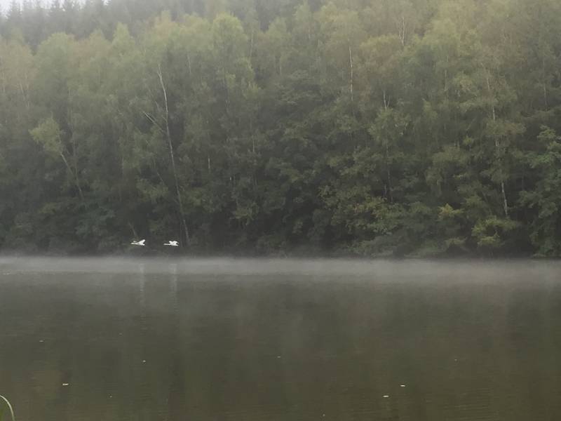 Pêche aux leurres en rivière - Ardennes (Belgique)