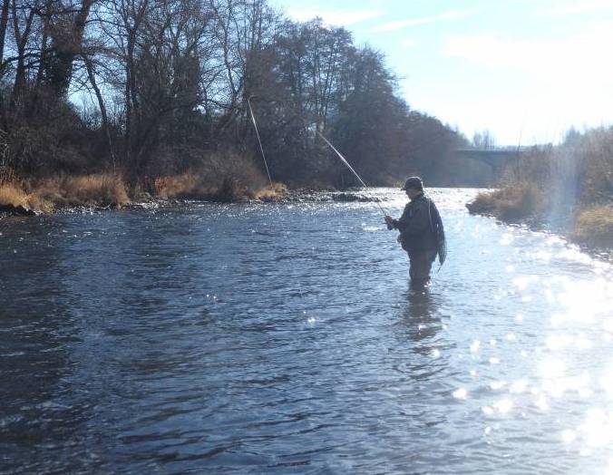 Fishing for grayling in Allier