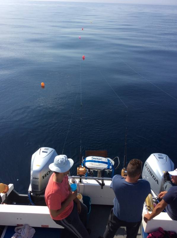 Big game fishing in the Mediterranean sea