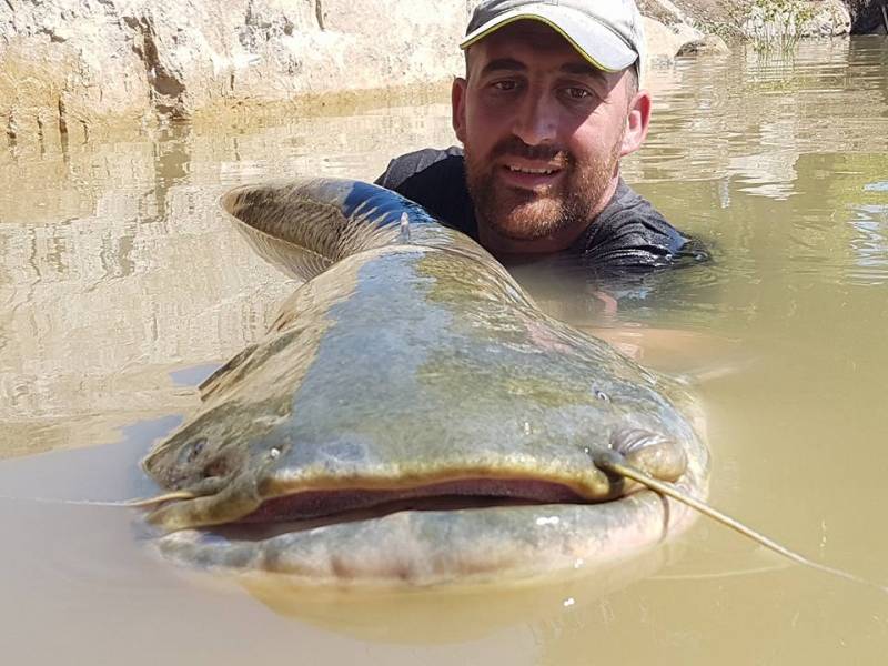 Catfish fishing in Mequinenza in Spain