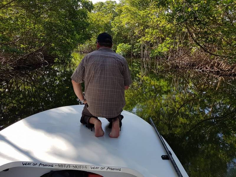 Pêche aux leurres en bateau en mangrove guadeloupéenne