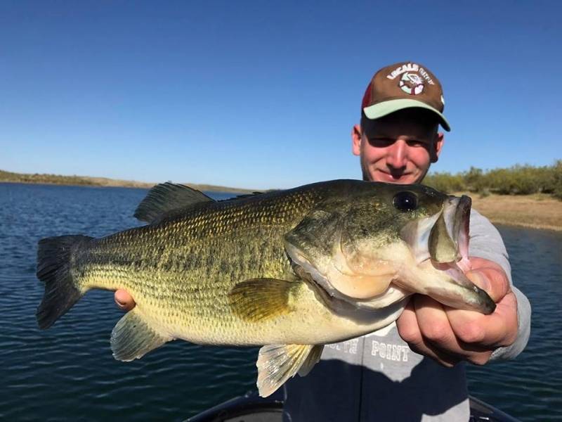 Giant black-bass fishing in Extremadura