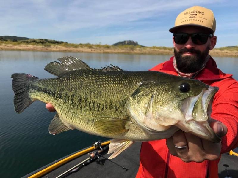 Giant black-bass fishing in Extremadura