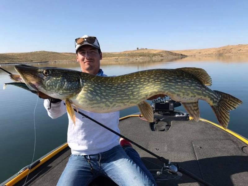 Giant pike fishing in Extremadura