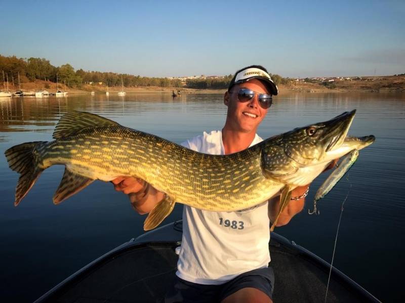 Giant pike fishing in Extremadura