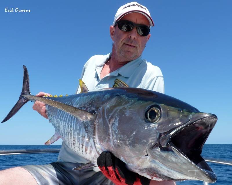 Tuna fishing in Spain