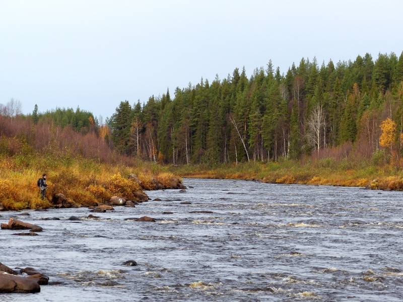 Pêche en rivière en Suède