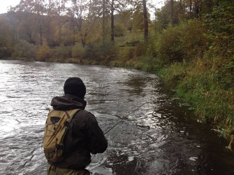 Trout fishing in Alsace