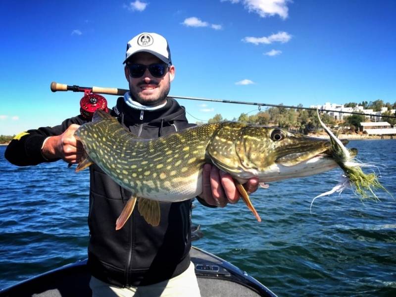 Fly fishing for pike and black-bass in Extremadura