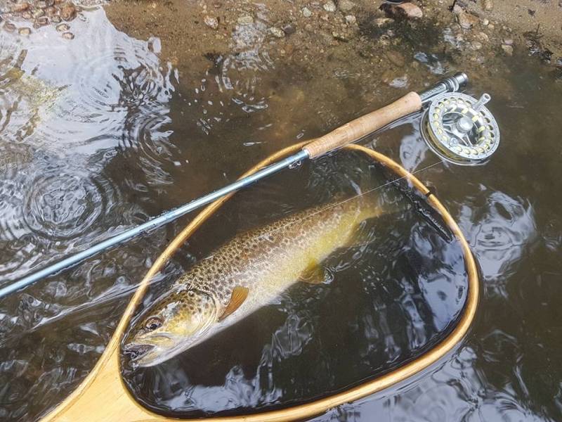 Fly fishing day on the Sioule river
