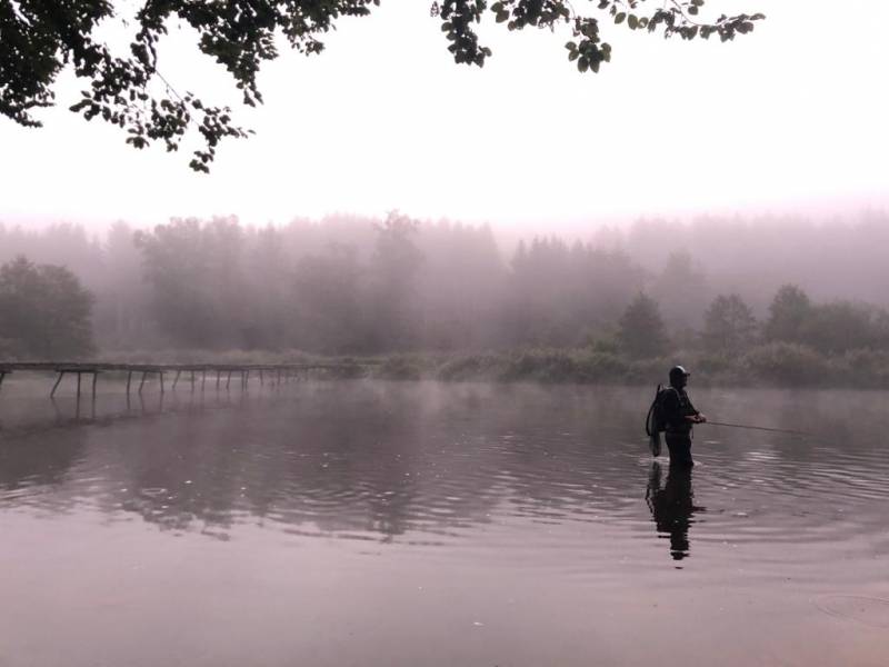 Pêche aux leurres en rivière - Ardennes (Belgique)