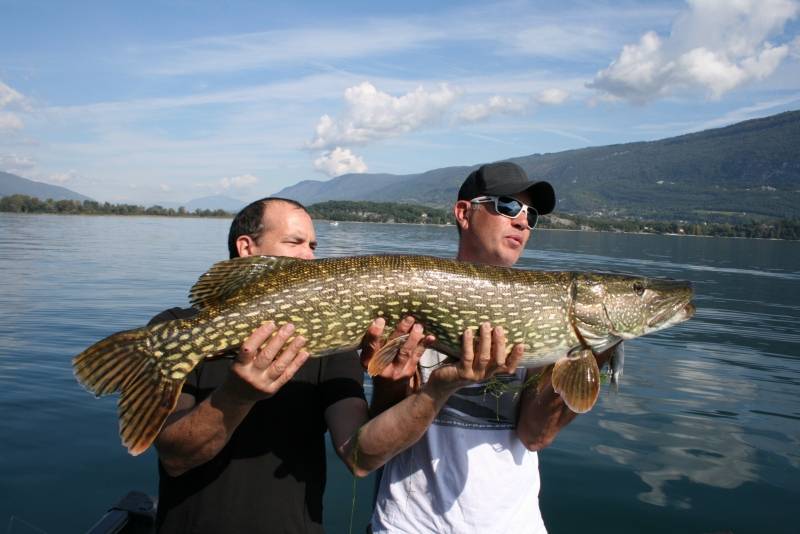 Pêche des carnassiers et salmonidés sur le lac du Bourget