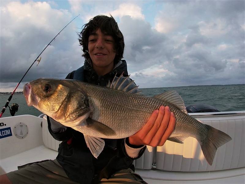 Sea bass fishing in Arcachon