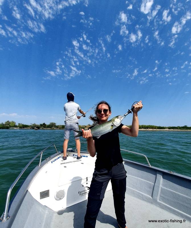 Pêche du tassergal sur le Delta du Rhône