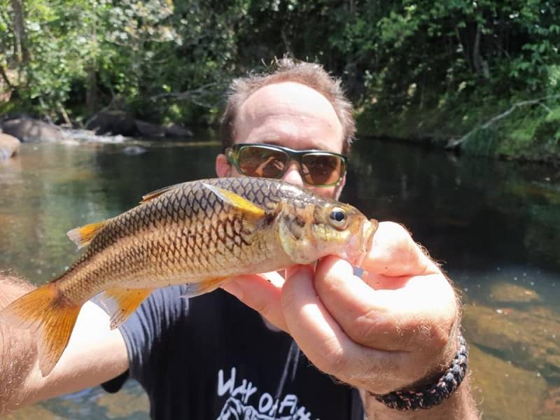 Pêche en rivière en Guadeloupe