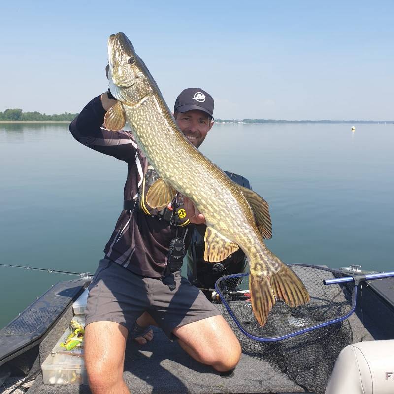 Pike fishing in Alsace
