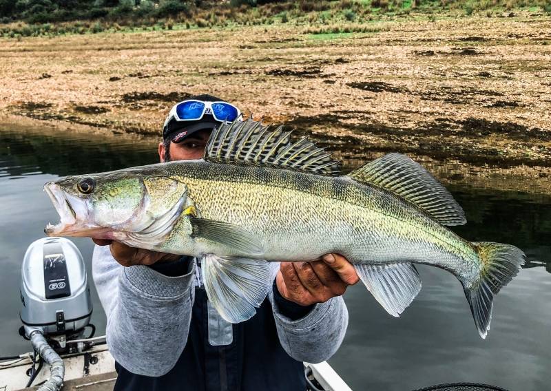 Black-bass and pike fishing trip in Extremadura
