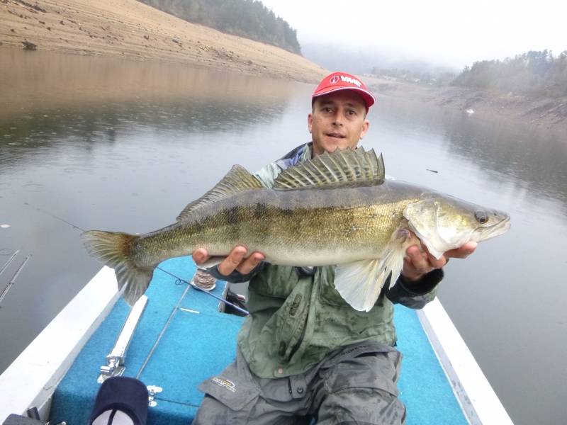 Pêche des carnassiers sur les lacs de barrage du Massif Central