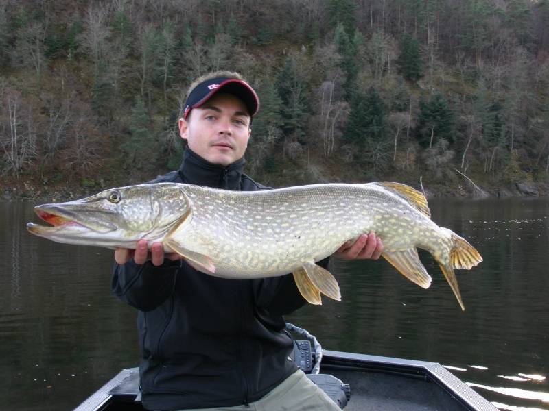 Fishing for pike, zander and perch in dam lakes of Massif Central