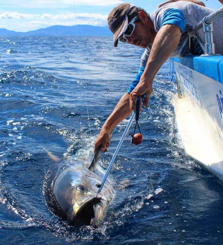 Bluefin tuna fishing in Mediteranean sea