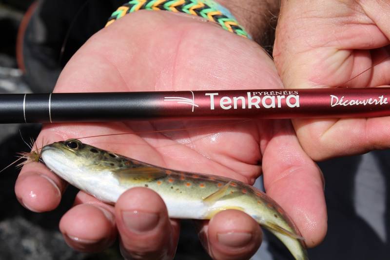 Tenkara fishing in Hautes-Pyrenes