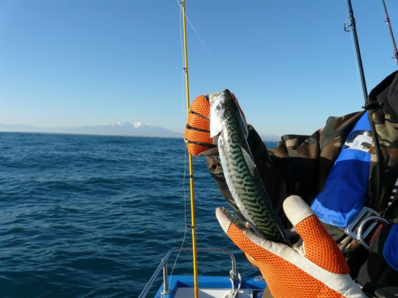 Journée pêche en mer Méditerranée