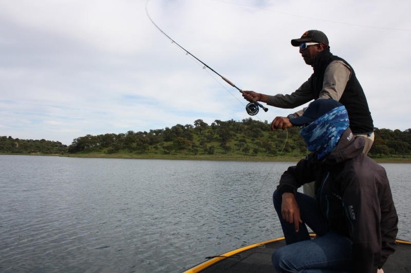 Pike and black-bass fly fishing in Extremadura