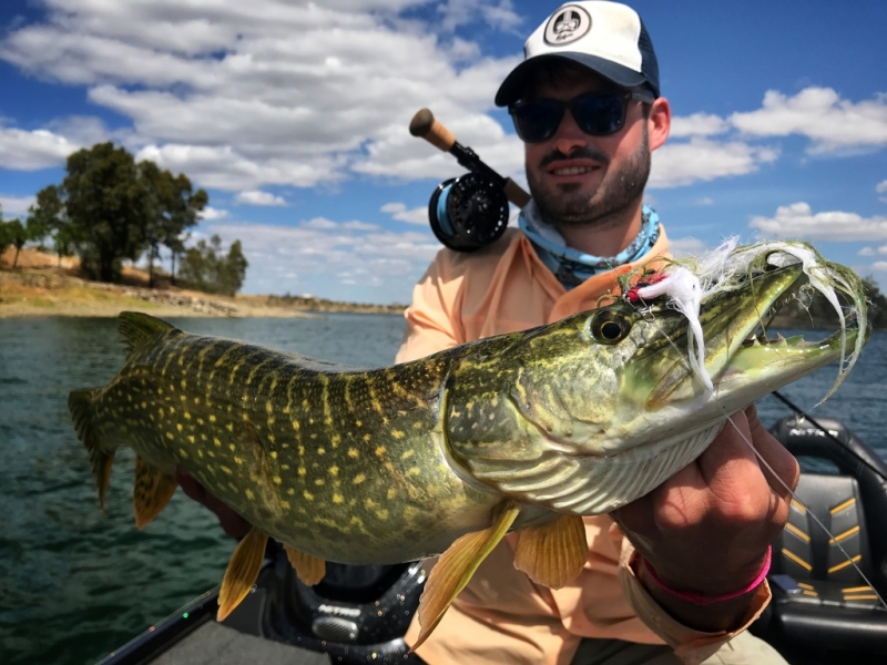 Pike and black-bass fly fishing in Extremadura