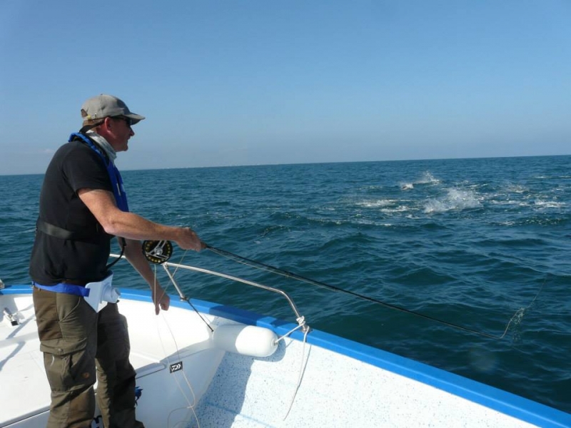 Perfectionnement de la pêche du thon en Méditerranée