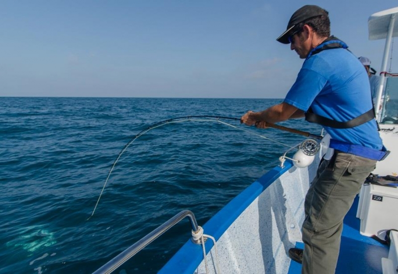 Perfectionnement de la pêche du thon en Méditerranée
