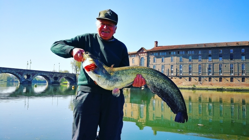 Catfish fishing in Toulouse