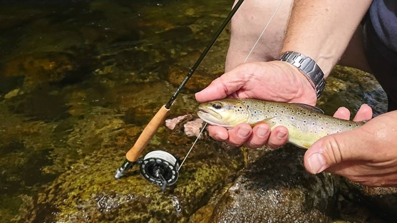 Improve your skills on trout fishing in Ariège