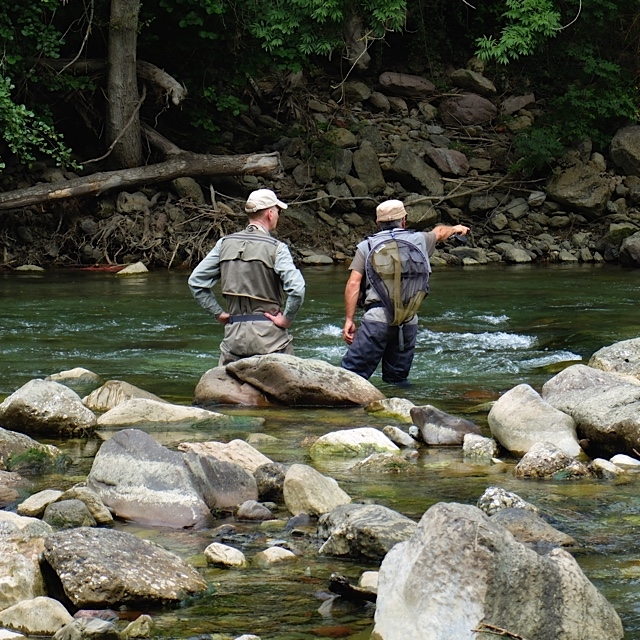 Fly-fishing initiation in Pyrenees