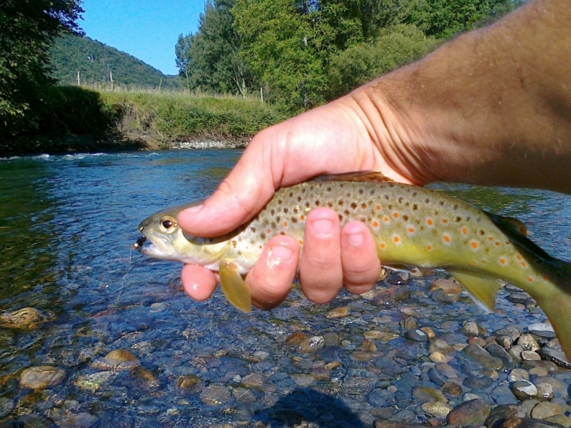 Fly fishing with nymphs in Pyrenees