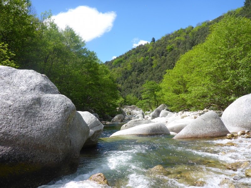 Discover fly fishing in Ardèche